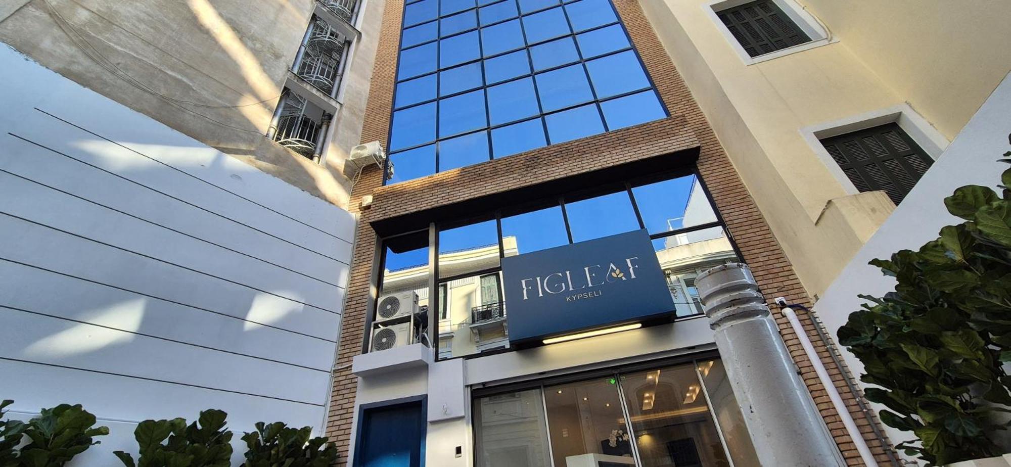 Figleaf Kypseli Hotel Athén Kültér fotó
