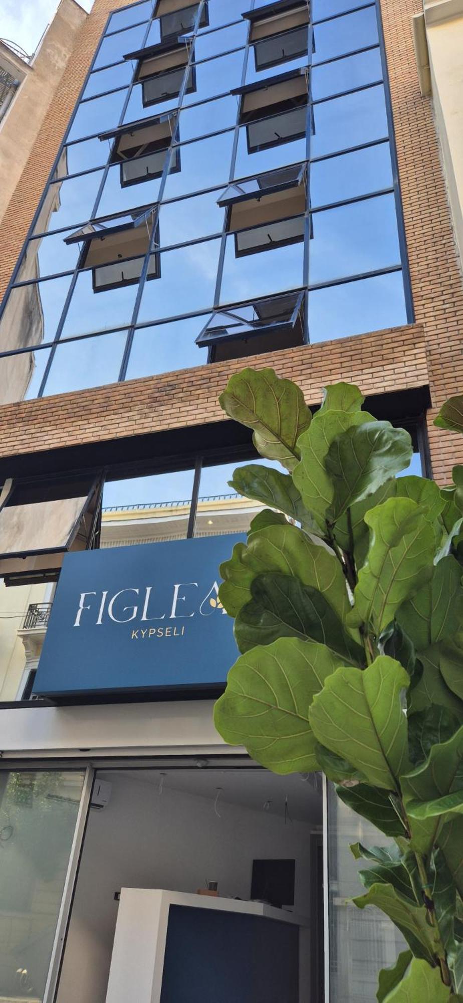 Figleaf Kypseli Hotel Athén Kültér fotó